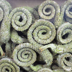 Branches mâles de palmier - 50 pièces - vert givré