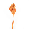 Palmspear mini - 100 Stück Beutel - curry-gelb