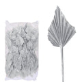 Lance de palmier, grande, 100 pièces, sachet - blanc givré