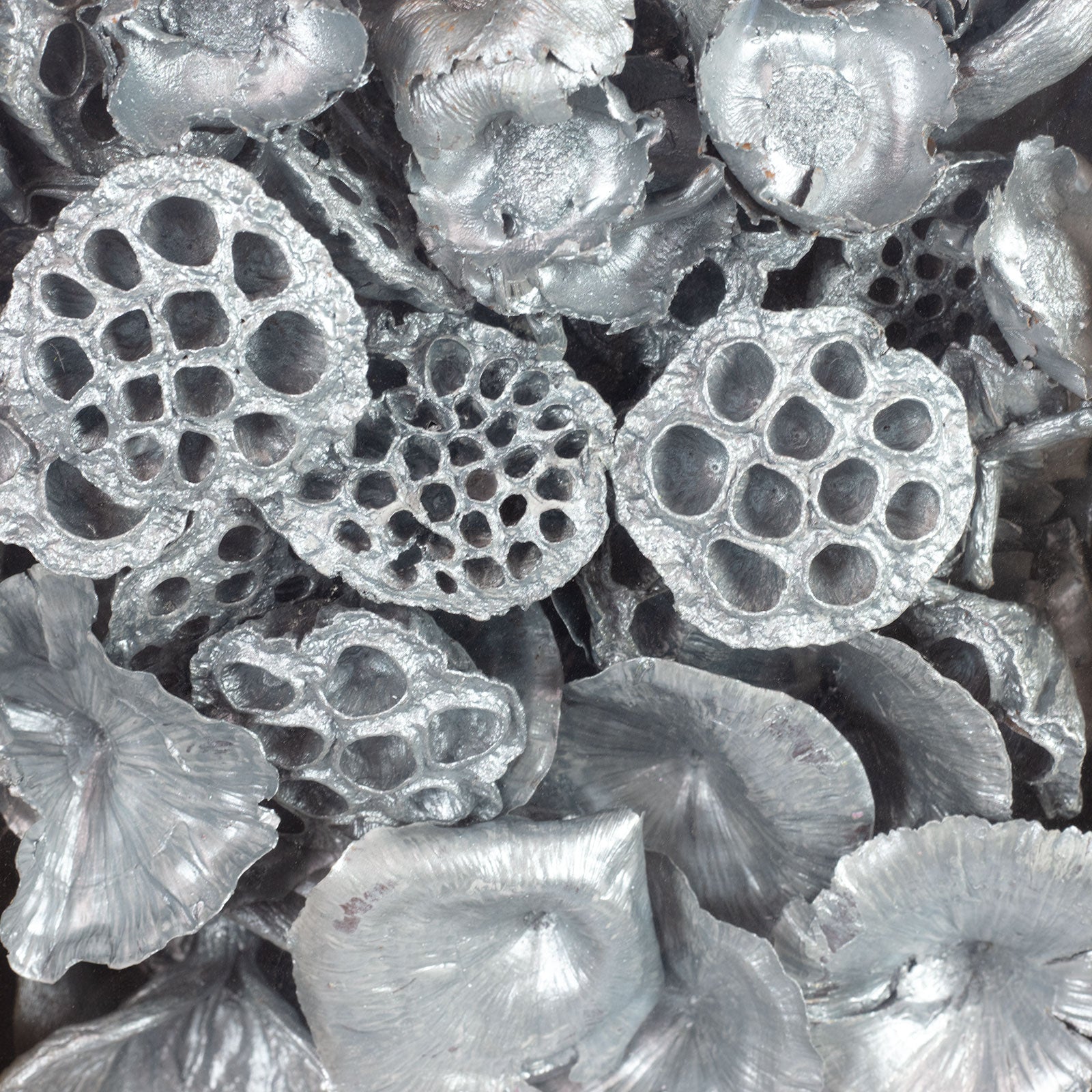 Assortiment exotique de poires - 60 pièces - gris perle