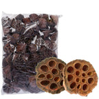 Grandes fioles de lotus - 100 pièces par sachet - naturelles