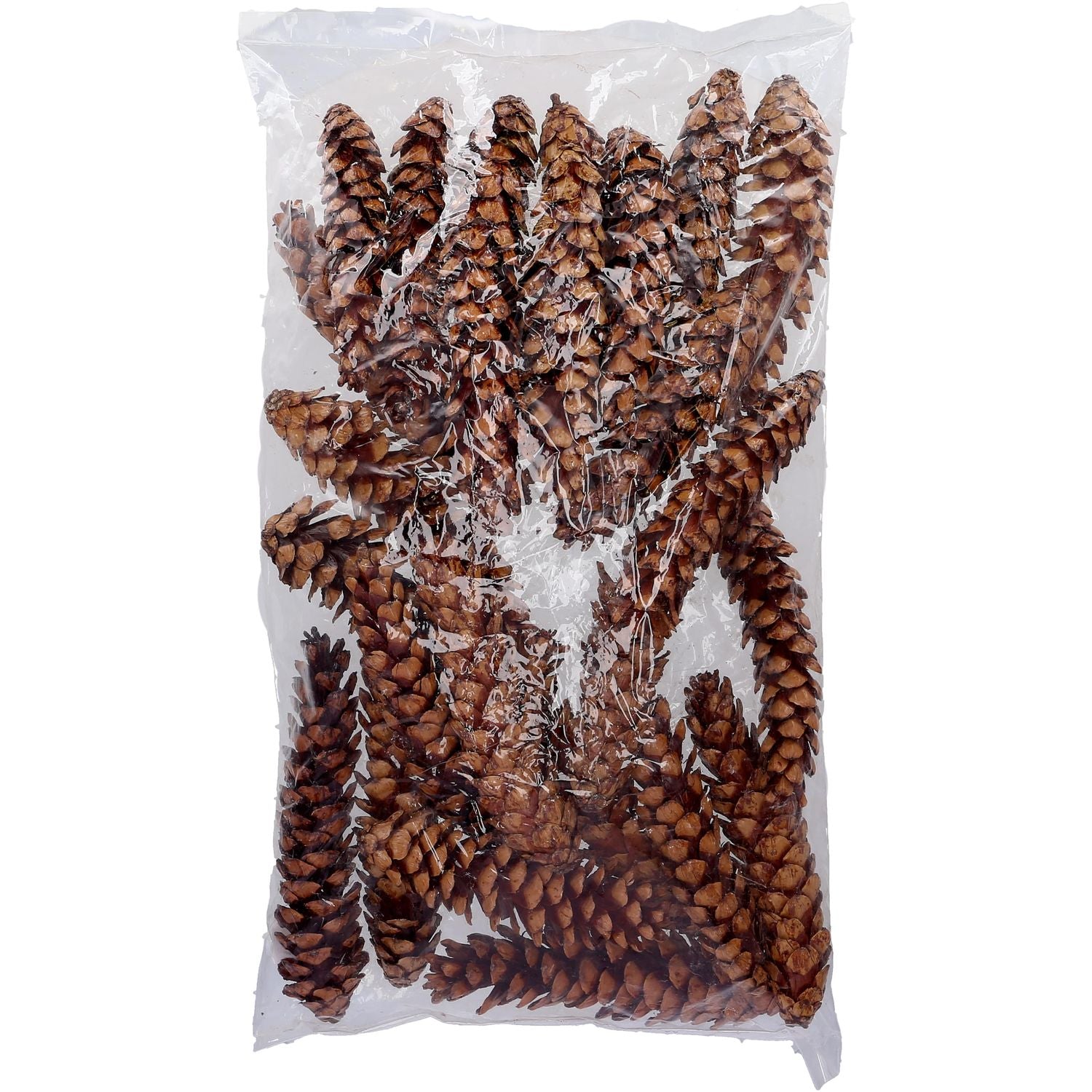 Strobus excelsa - 25-32 cm - laqué - 25 pièces par sachet - naturel