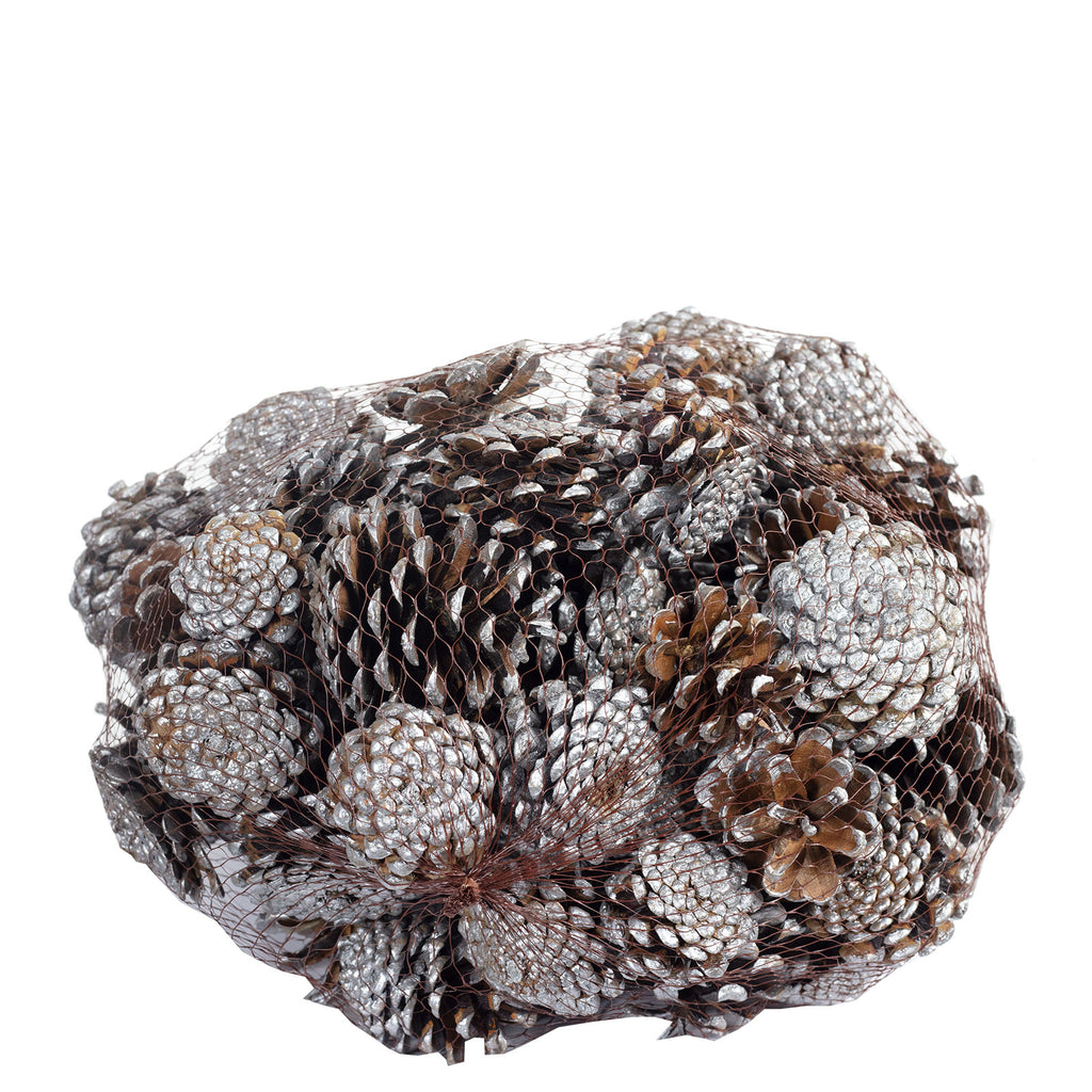 Schwarzkiefern - 1 kg im Netz - Länge ca. 5-8 cm - silber-tipped