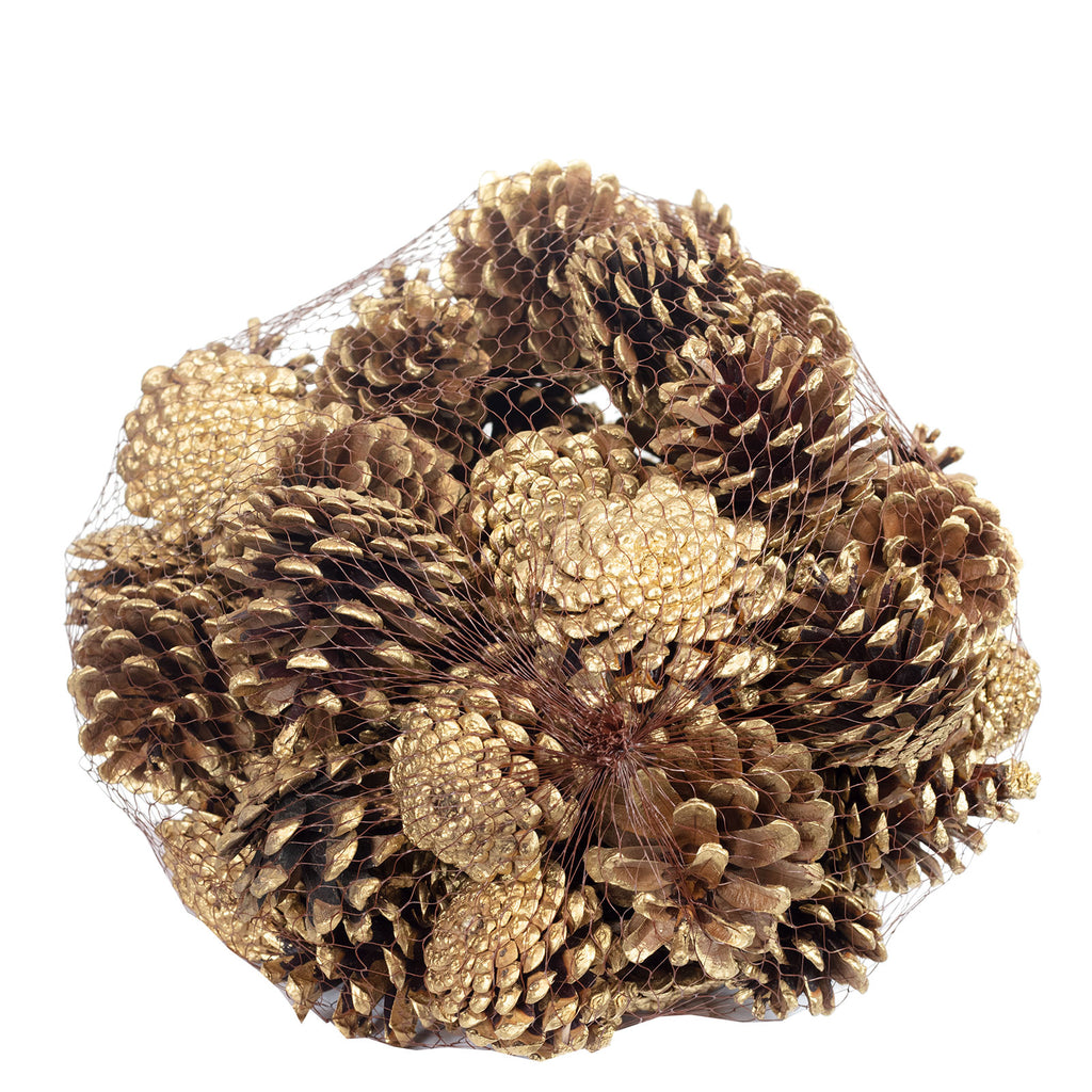 Pin noir - 1 kg en filet - Longueur env. 5-8 cm - pointes dorées
