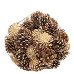 Pin noir - 1 kg en filet - Longueur env. 5-8 cm - pointes dorées