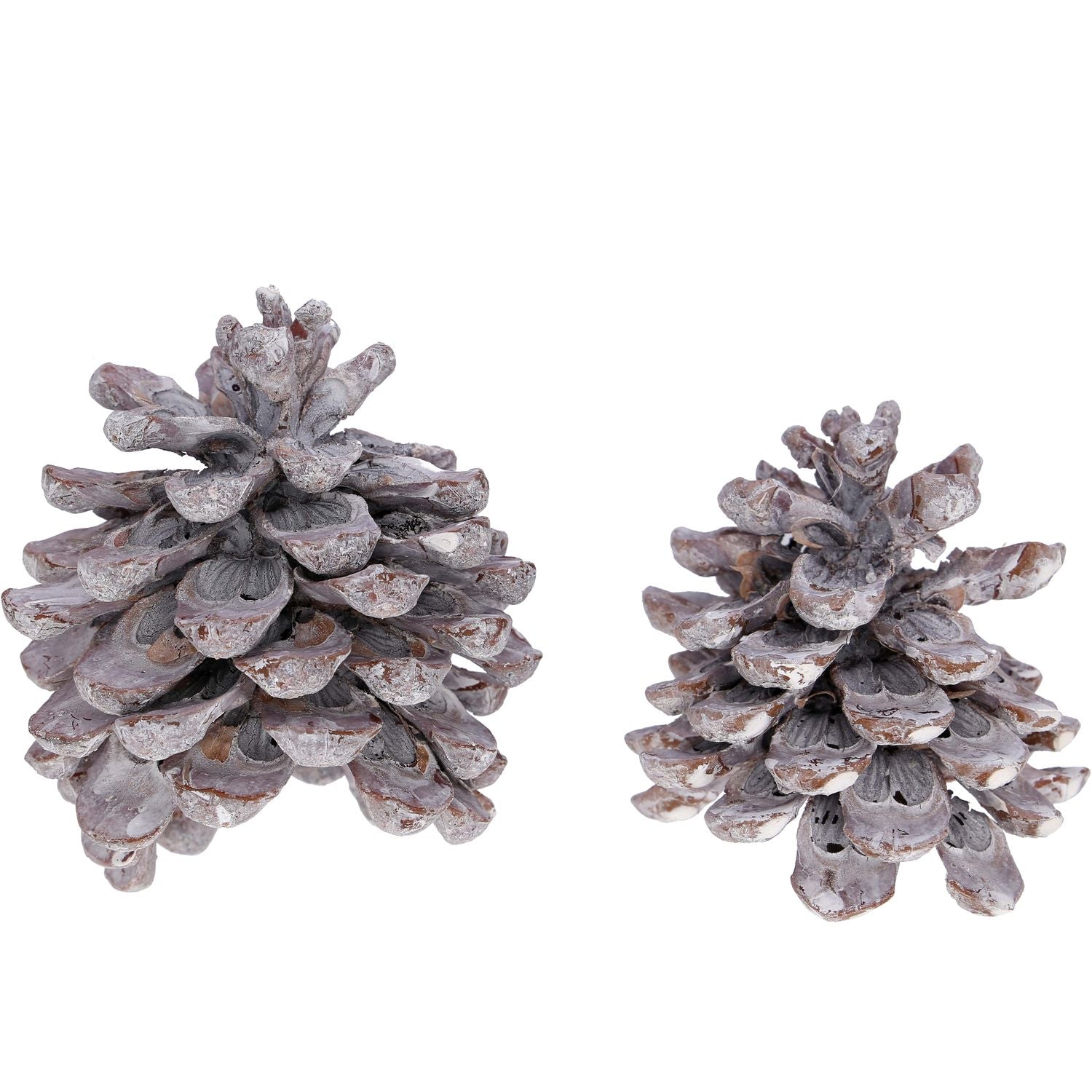 Mélange de ananas - environ 12 pièces dans un filet - blanc givré