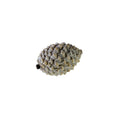 Zapfen - grau/weiß gefrostet - Polyresin - 8,7x6x5,5 cm