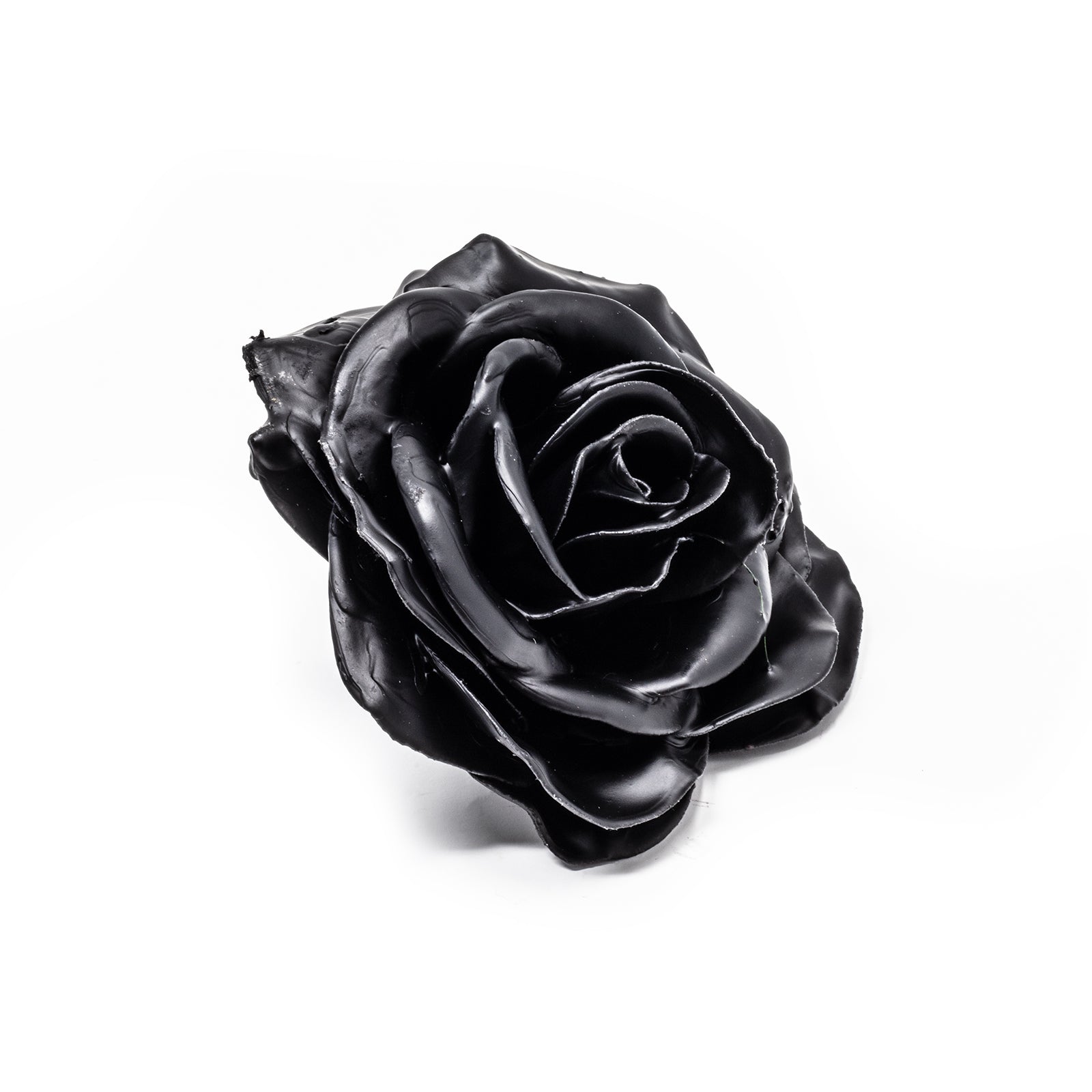 10er-Set Wachsrose - Black