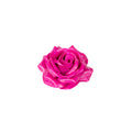 10er-Set Wachsrose - Cerise