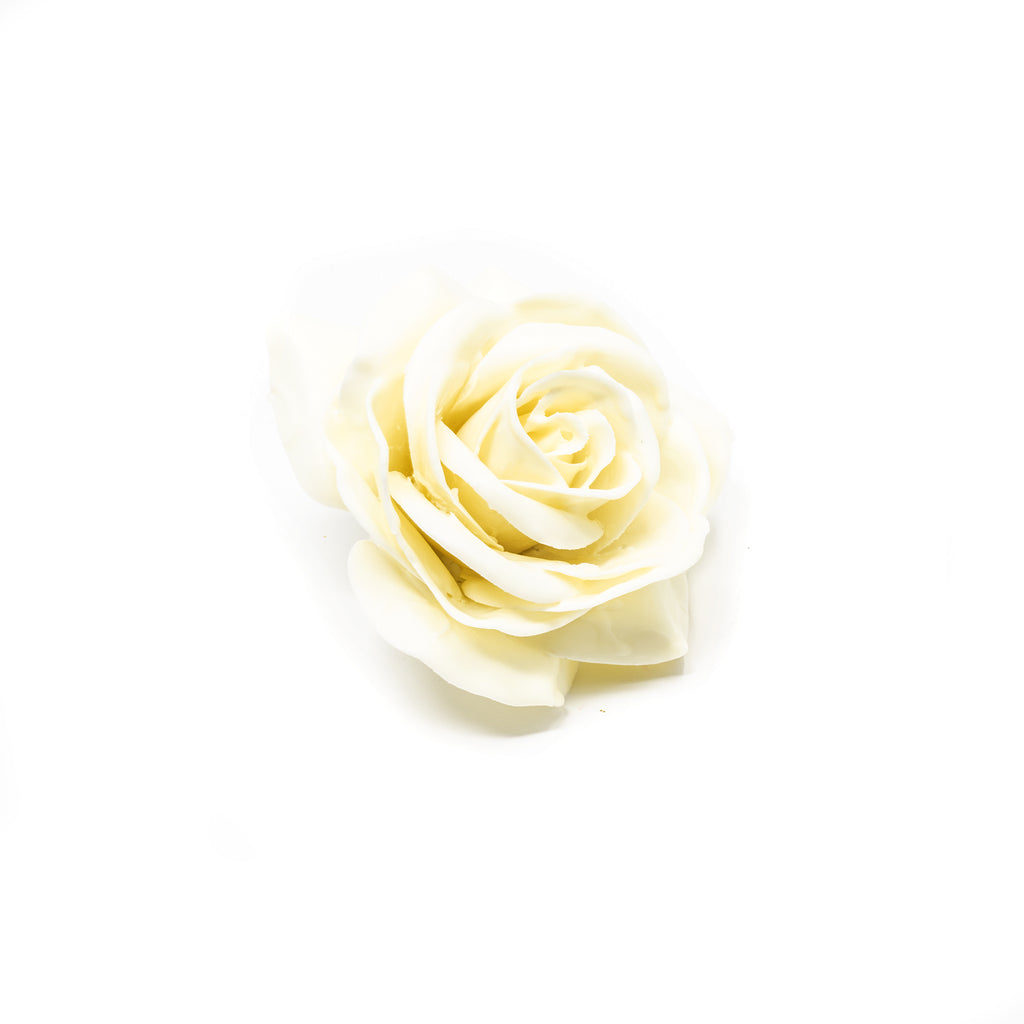 10er-Set Wachsrose - Creme