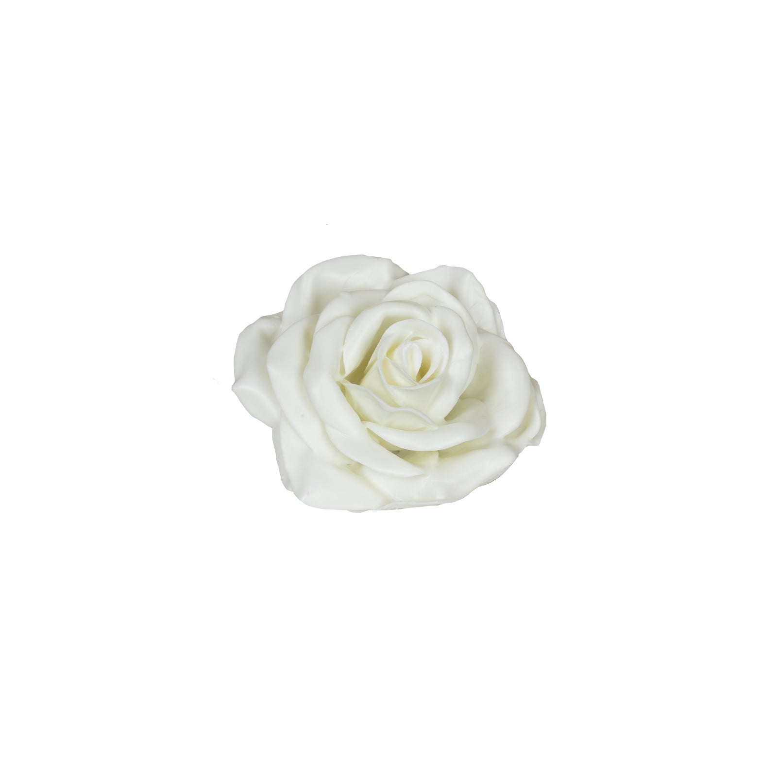 10er-Set Wachsrose - Soft White