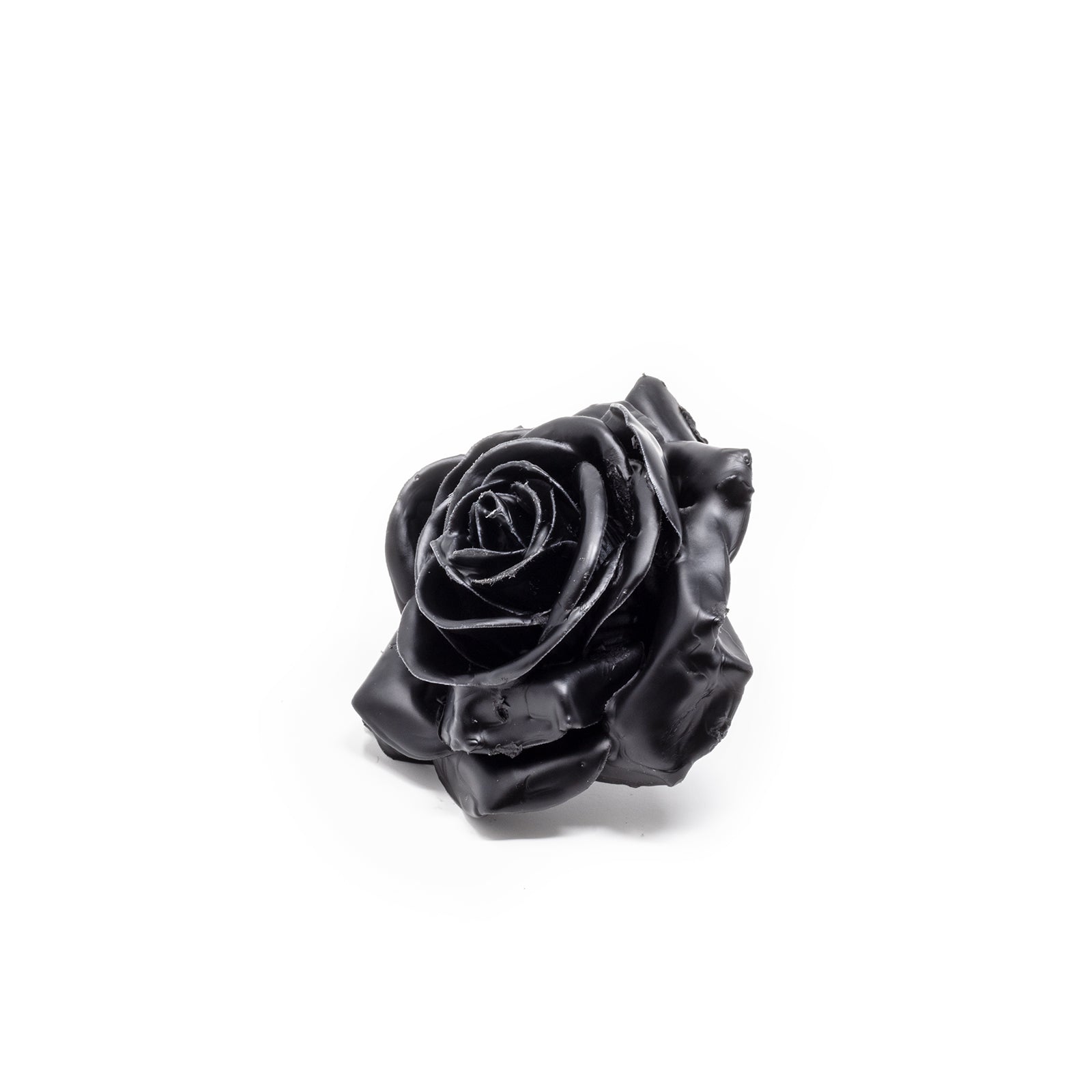 12er Set Wachsrose - Black
