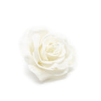 12er Set Wachsrose - Soft White