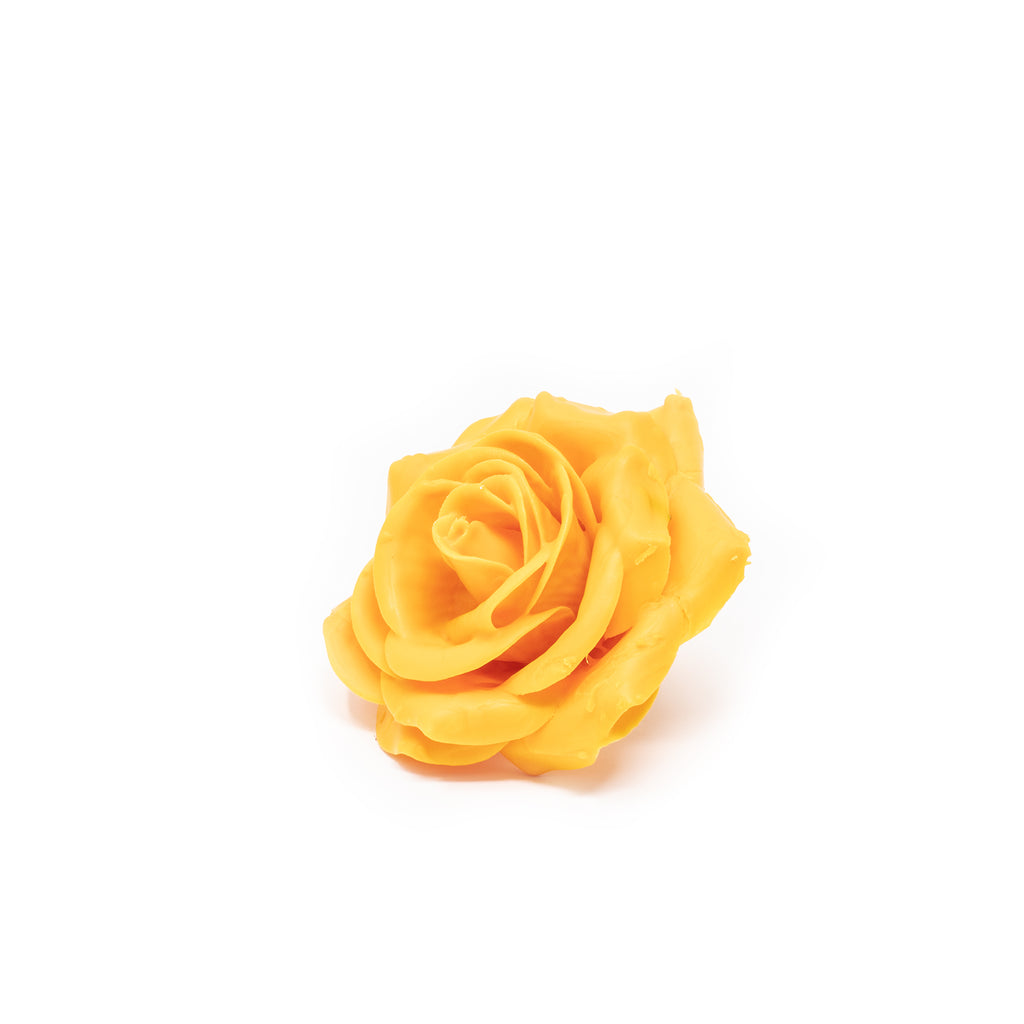 12er Set Wachsrose - Ochre