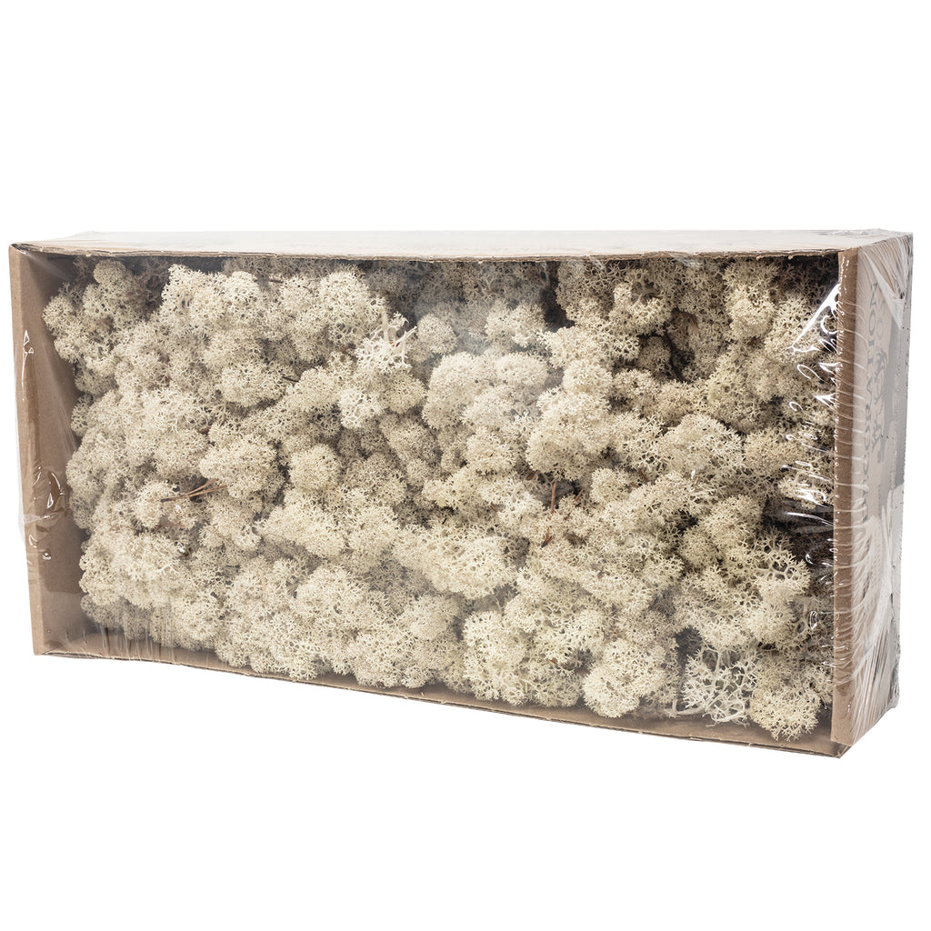 Karton Islandmoos Natur - 500g