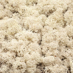 Karton Islandmoos Natur - 500g