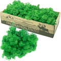 Boîte de mousse de renne verte - 500 g