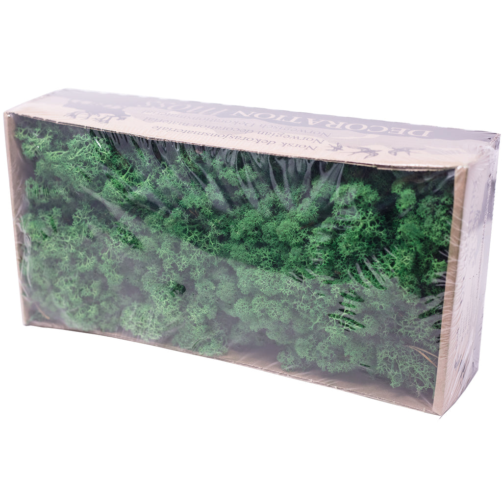 Boîte de mousse de renne verte - 500 g