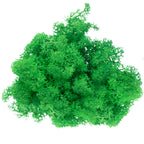 Boîte de mousse de renne verte - 500 g