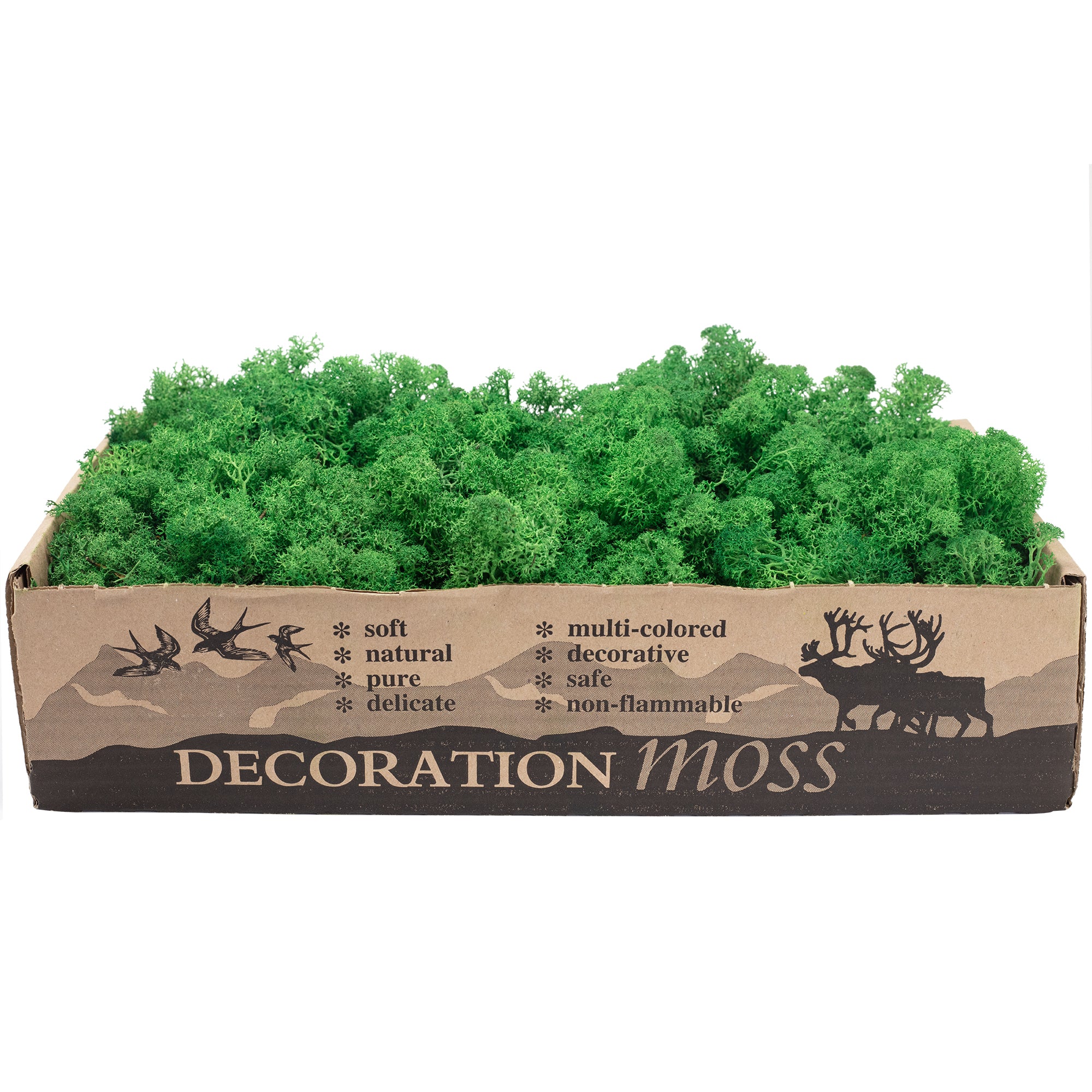 Boîte de mousse de renne verte - 500 g