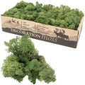 Box of Iceland moss moss green - 500g
