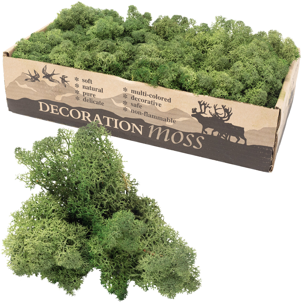 Box of Iceland moss moss green - 500g