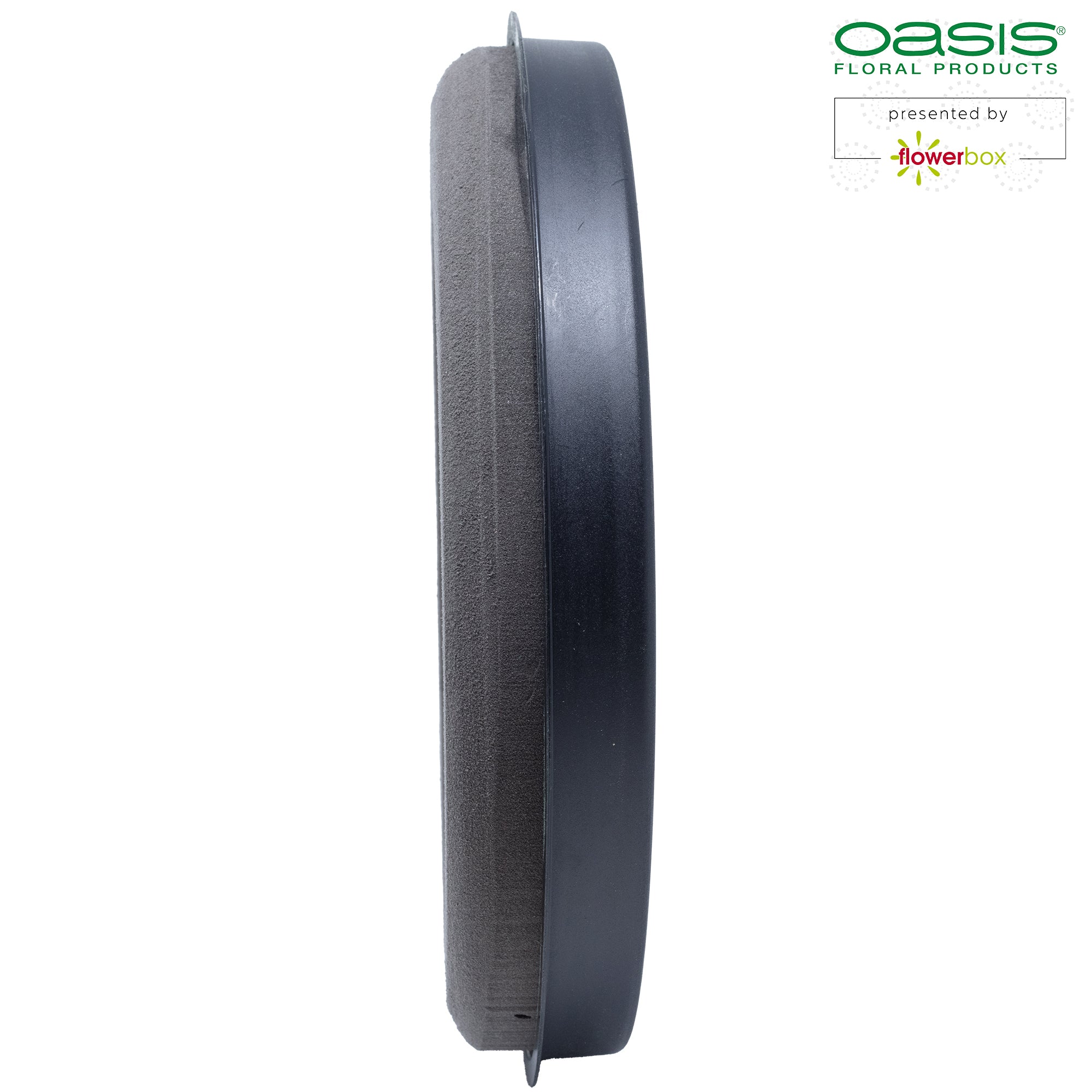 OASIS® BLACK IDEAL Design Ring - 4,5 x 30 cm Ø -2 Stück