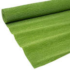Premium gardener's crepe paper - florist's crepe paper - 50 x 250 cm - grass green - waterproof, lightfast