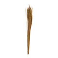 Balai à balais naturel - Thysanolaena - longueur 90-105 cm - 100 g