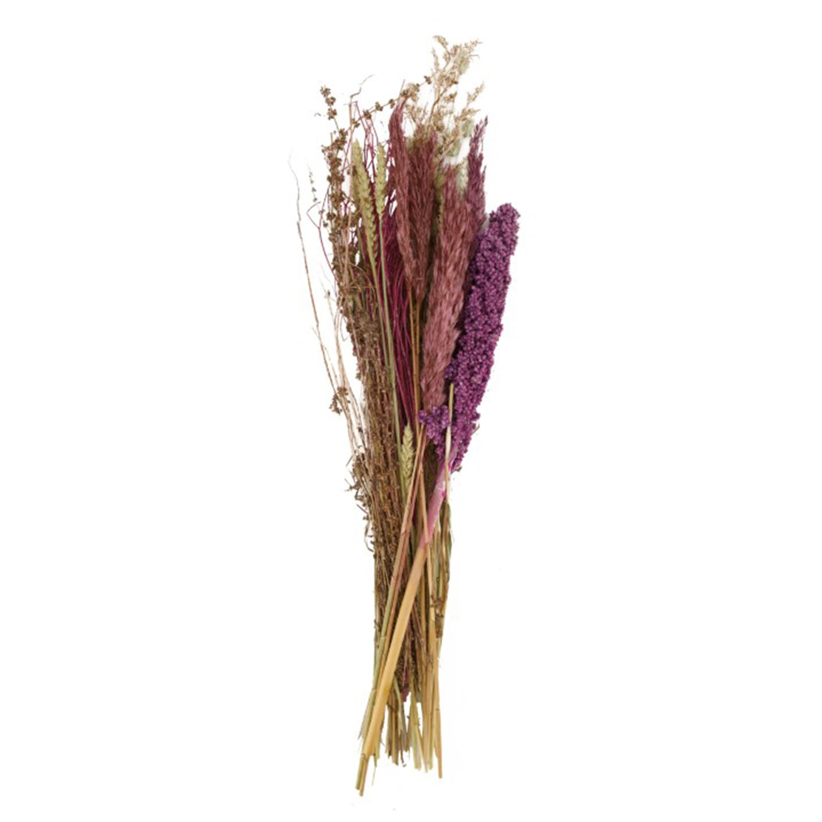 Bouquet de violettes séchées - 80 x 26 x 17 cm