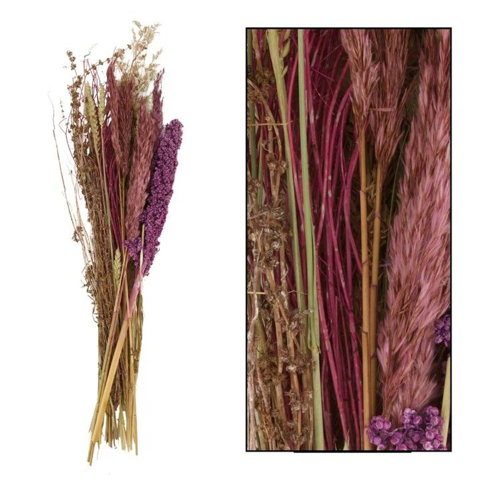 Bouquet de violettes séchées - 80 x 26 x 17 cm