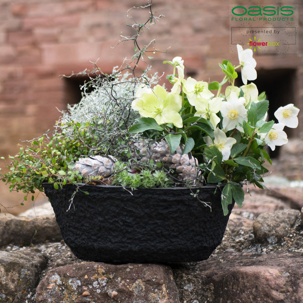 OASIS® BLACK BIOLIT® Pflanzschale, Ø 25 cm