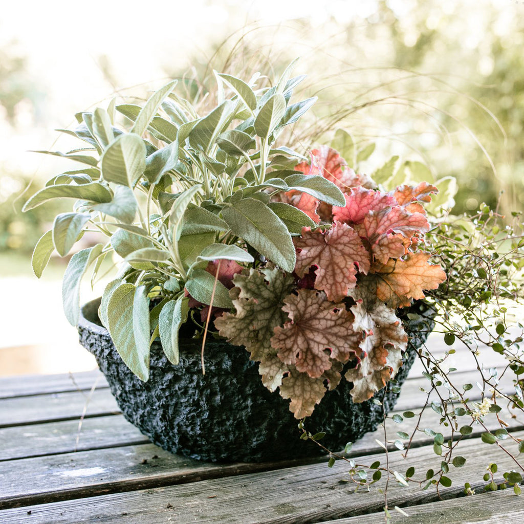 OASIS® BLACK BIOLIT® Pflanzschale, Ø 30 cm