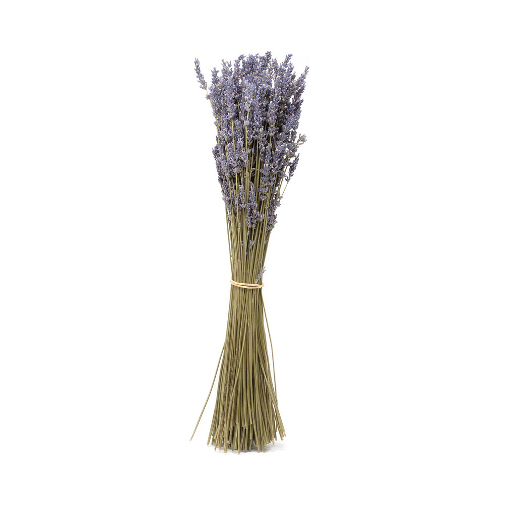 Bund Lavendel lila - Lavandula - Stiellänge ca. 45 cm - getrocknet