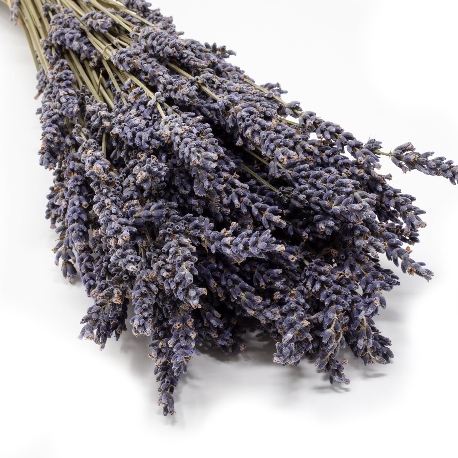 Bunch of purple lavender - Lavandula - stem length approx. 45 cm - dried