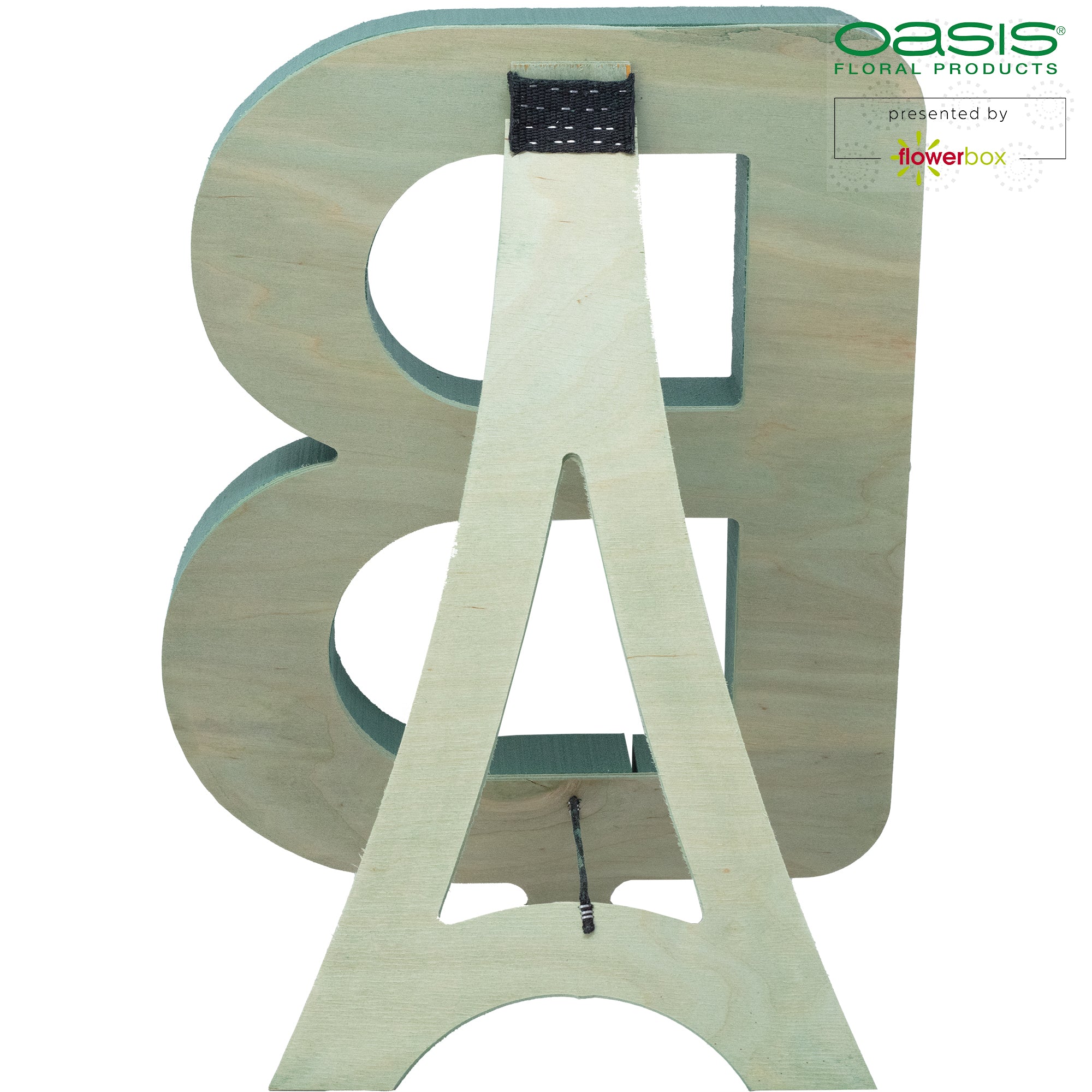 OASIS® BIOLINE® Buchstabe B - 37 x 40 x 5 cm