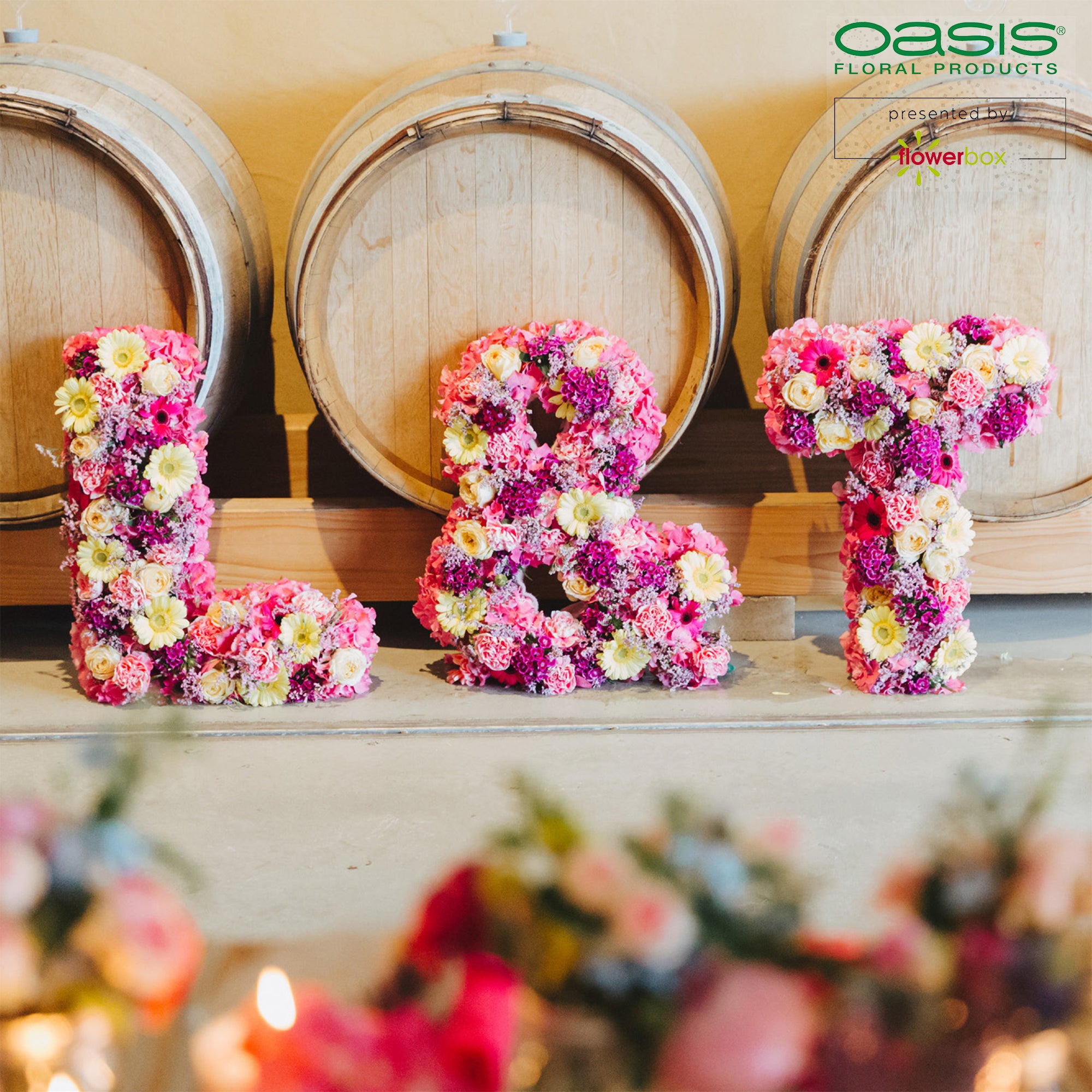 OASIS® BIOLINE® Buchstabe C - 37 x 40 x 5 cm