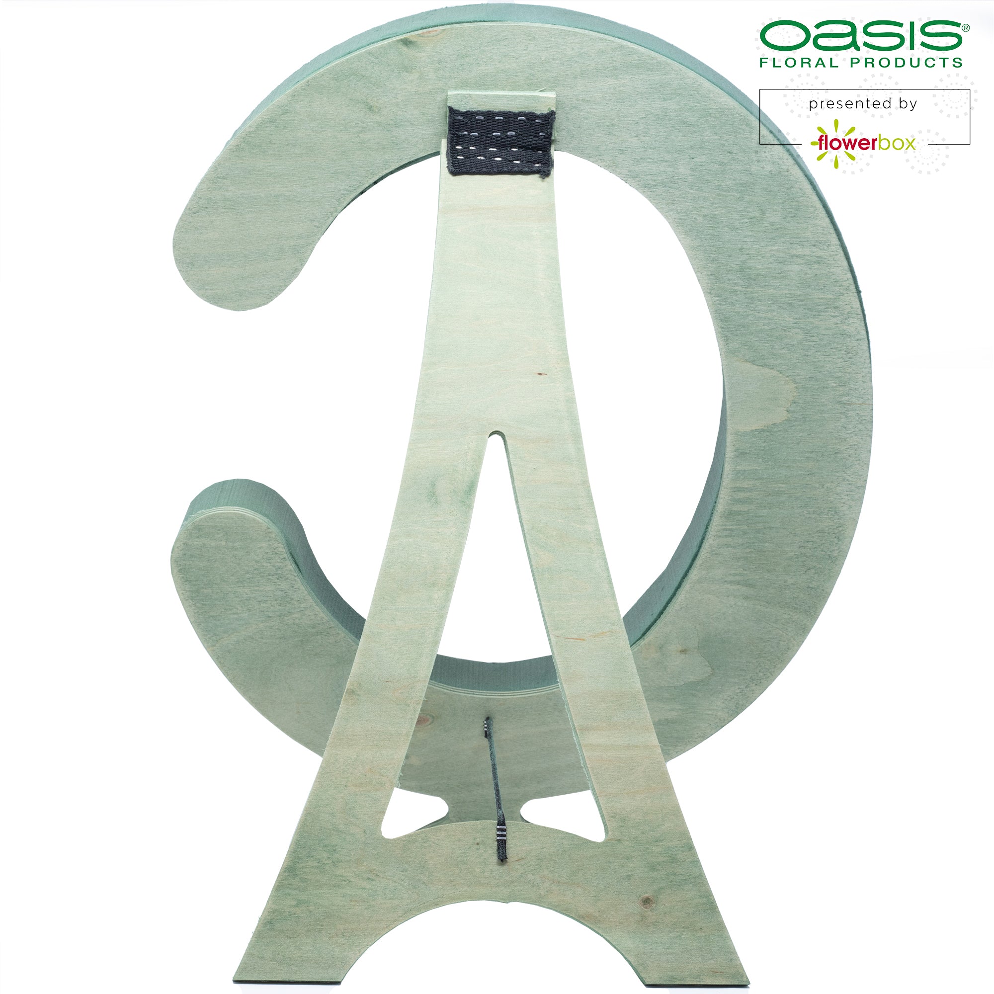 OASIS® BIOLINE® Buchstabe C - 37 x 40 x 5 cm