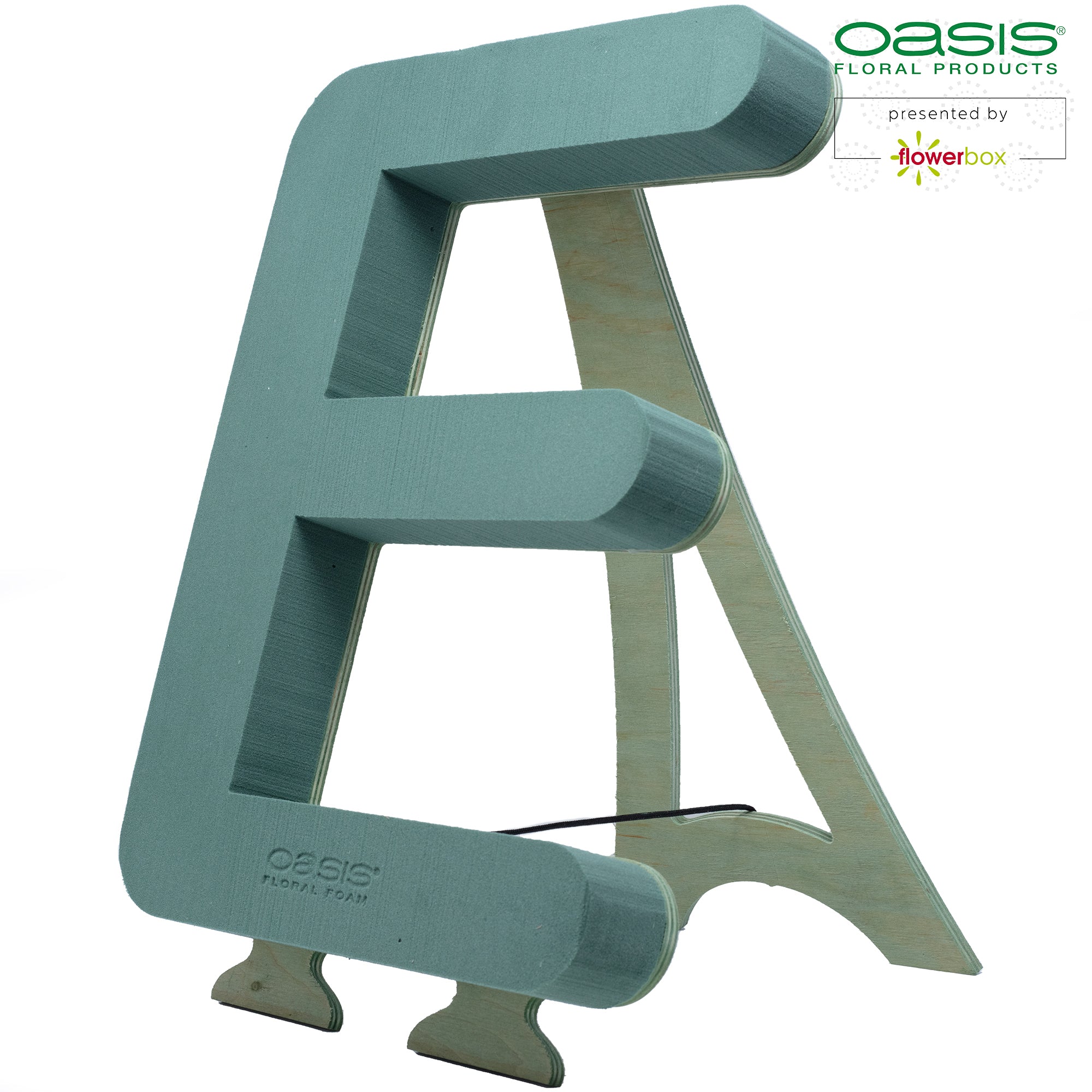 OASIS® BIOLINE® Buchstabe E - 37 x 40 x 5 cm