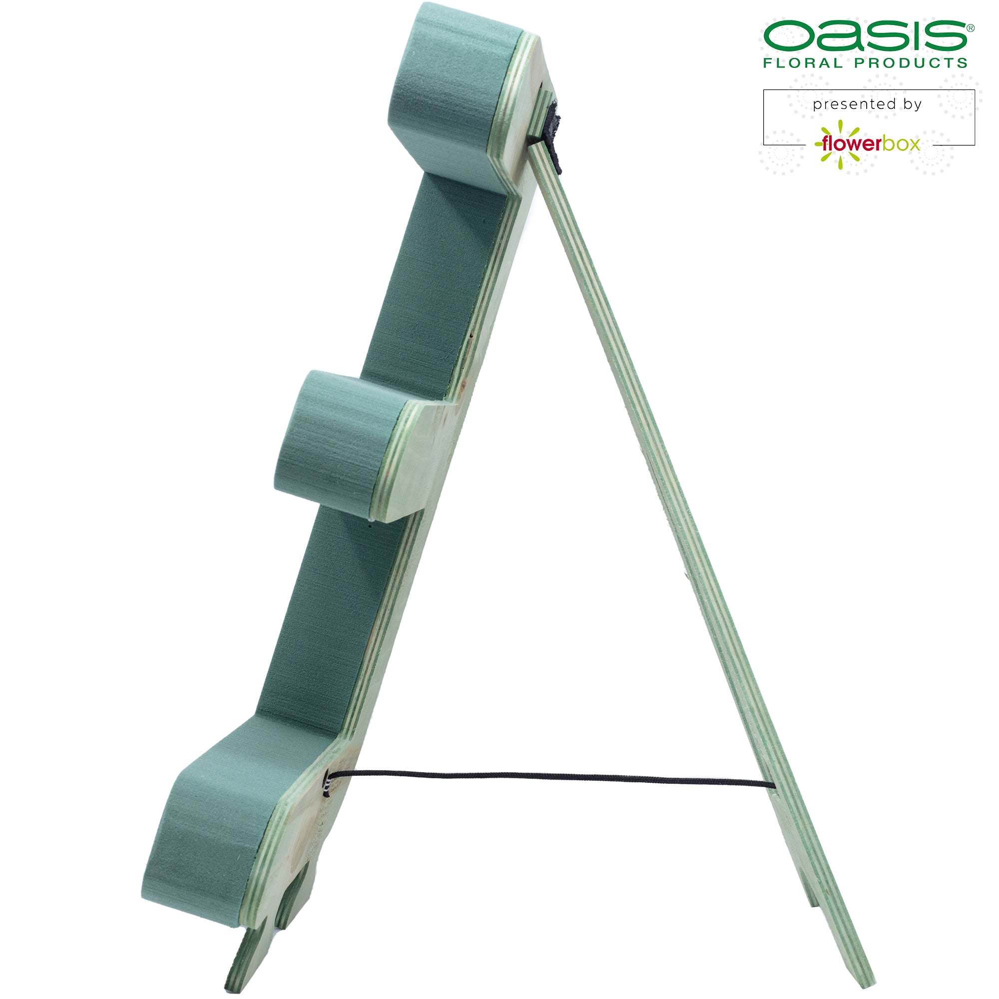 OASIS® BIOLINE® Buchstabe E - 37 x 40 x 5 cm