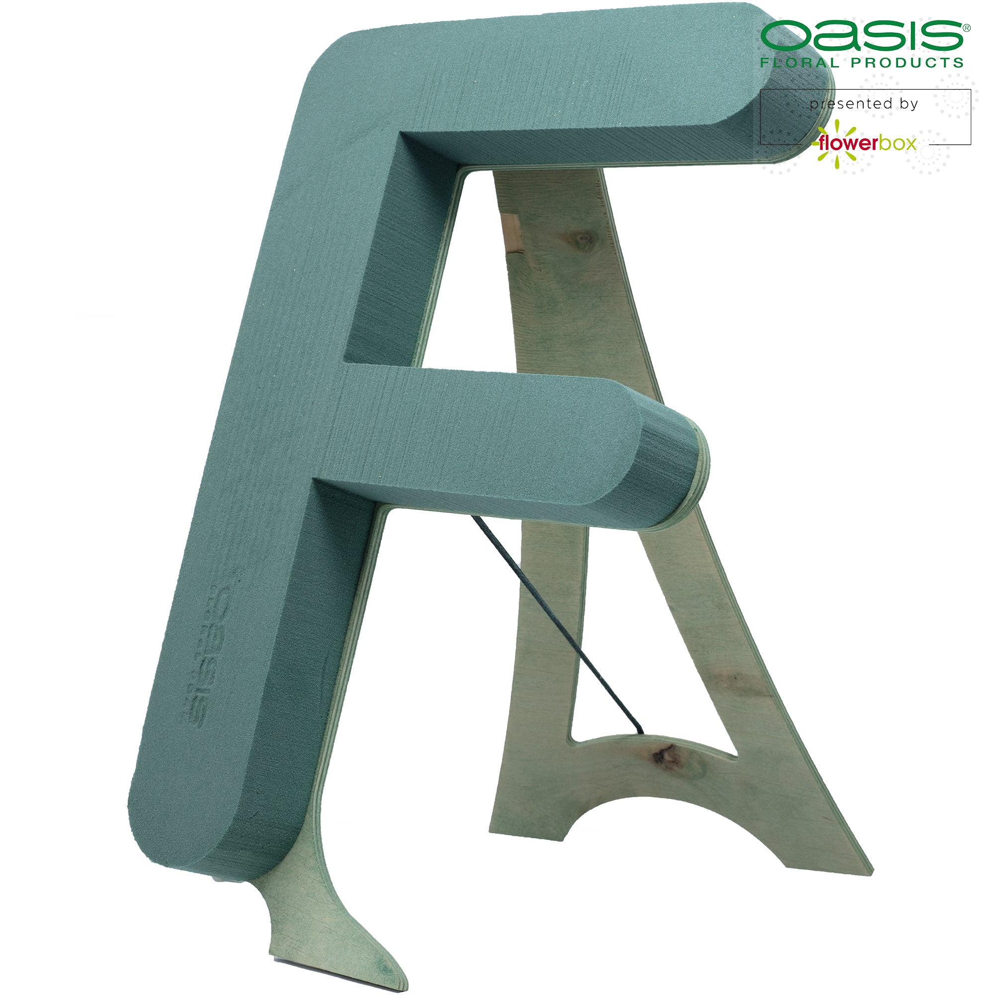 OASIS® BIOLINE® Letter F - 37 x 40 x 5 cm