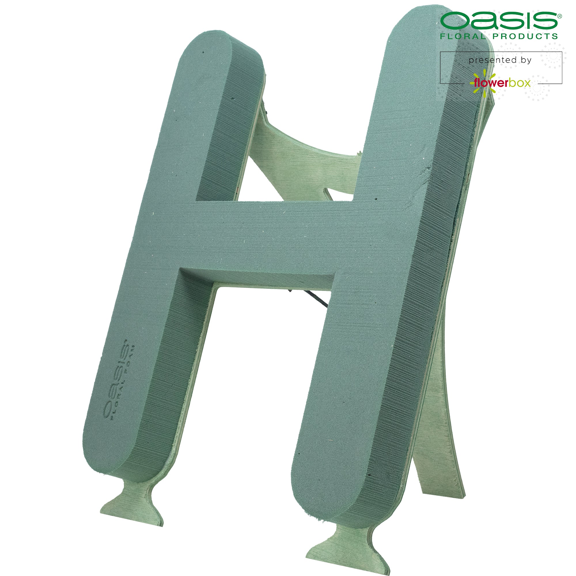 OASIS® BIOLINE® Letter H - 37 x 40 x 5 cm