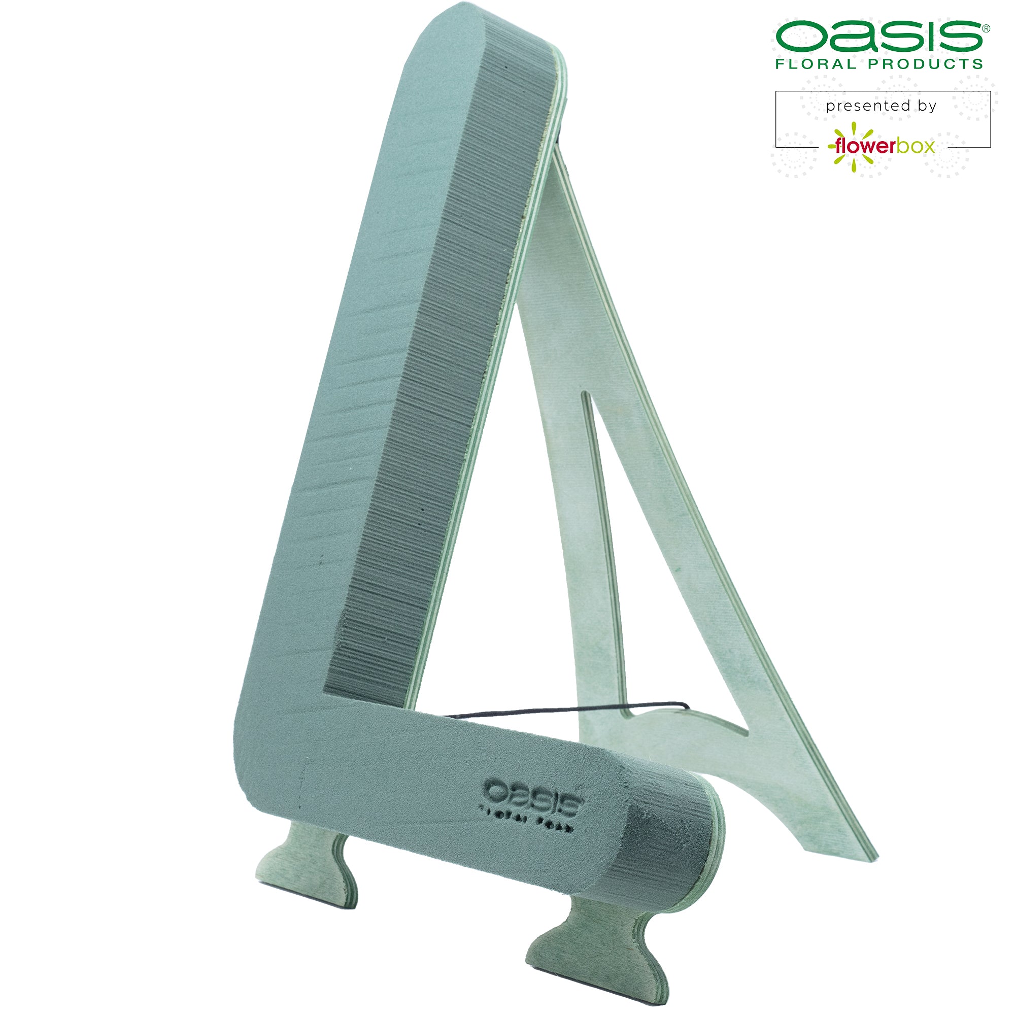 OASIS® BIOLINE® Letter L - 37 x 40 x 5 cm