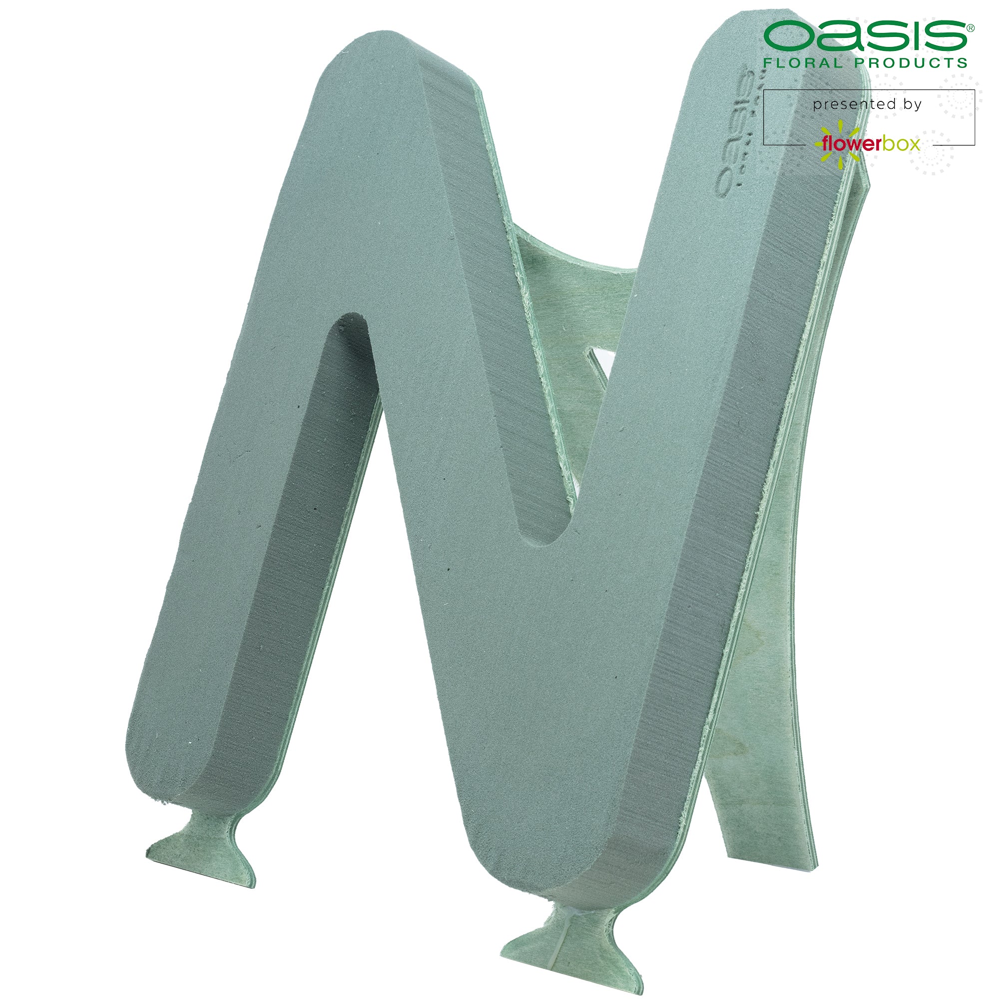OASIS® BIOLINE® Buchstabe N - 37 x 40 x 5 cm