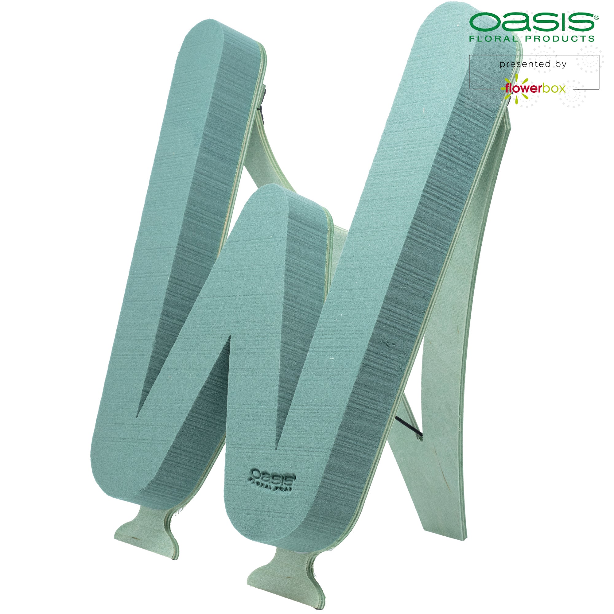 OASIS® BIOLINE® Letter W - 37 x 40 x 5 cm