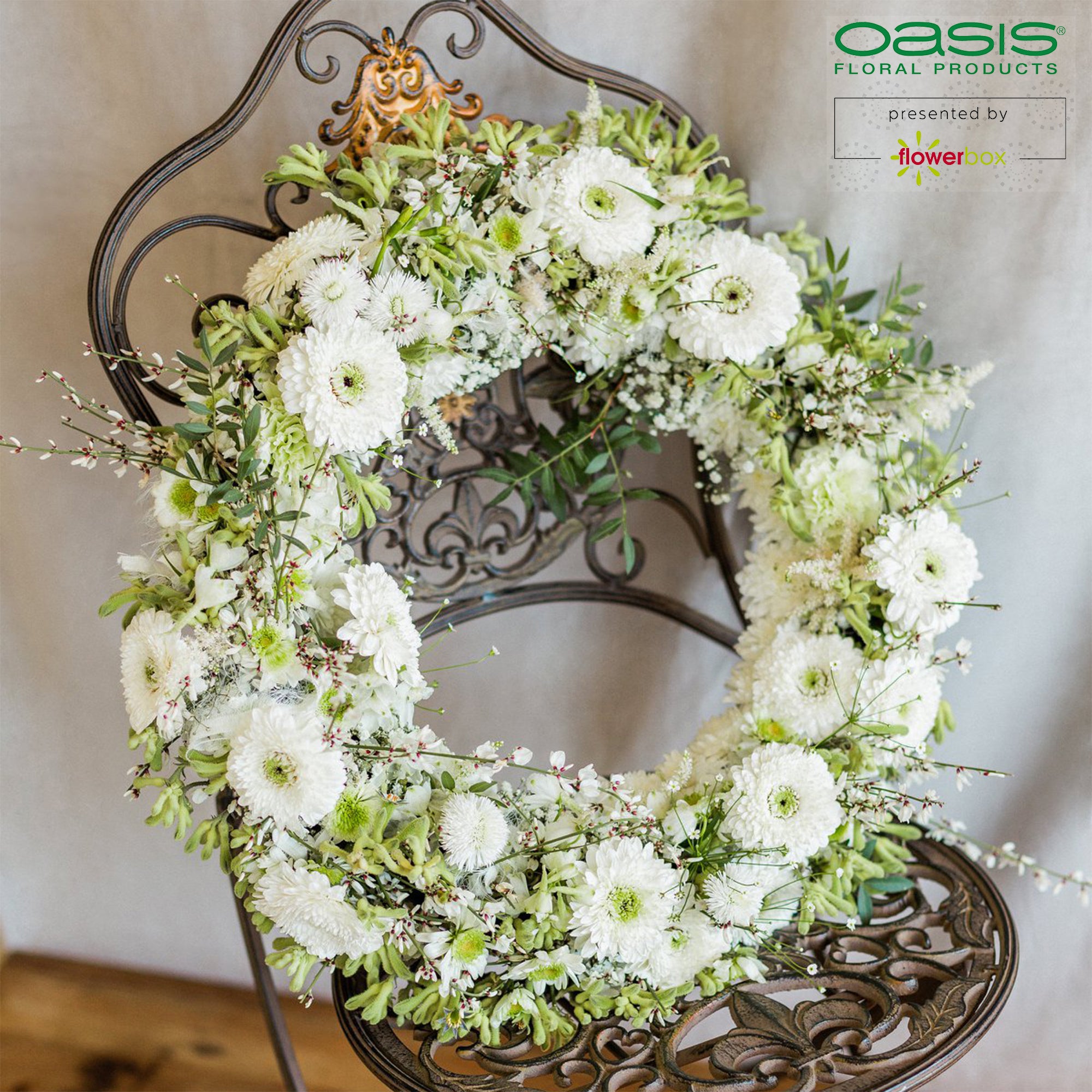 OASIS® IDEAL Universal Ring - 4 x 27cm Ø - innen: 17,5cm Ø - 3 St.