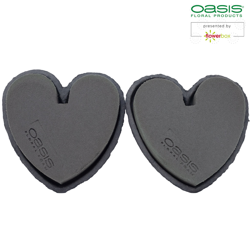 OASIS® BLACK BIOLIT® Herzen - 17 x 17 x 4 cm -2 Stück