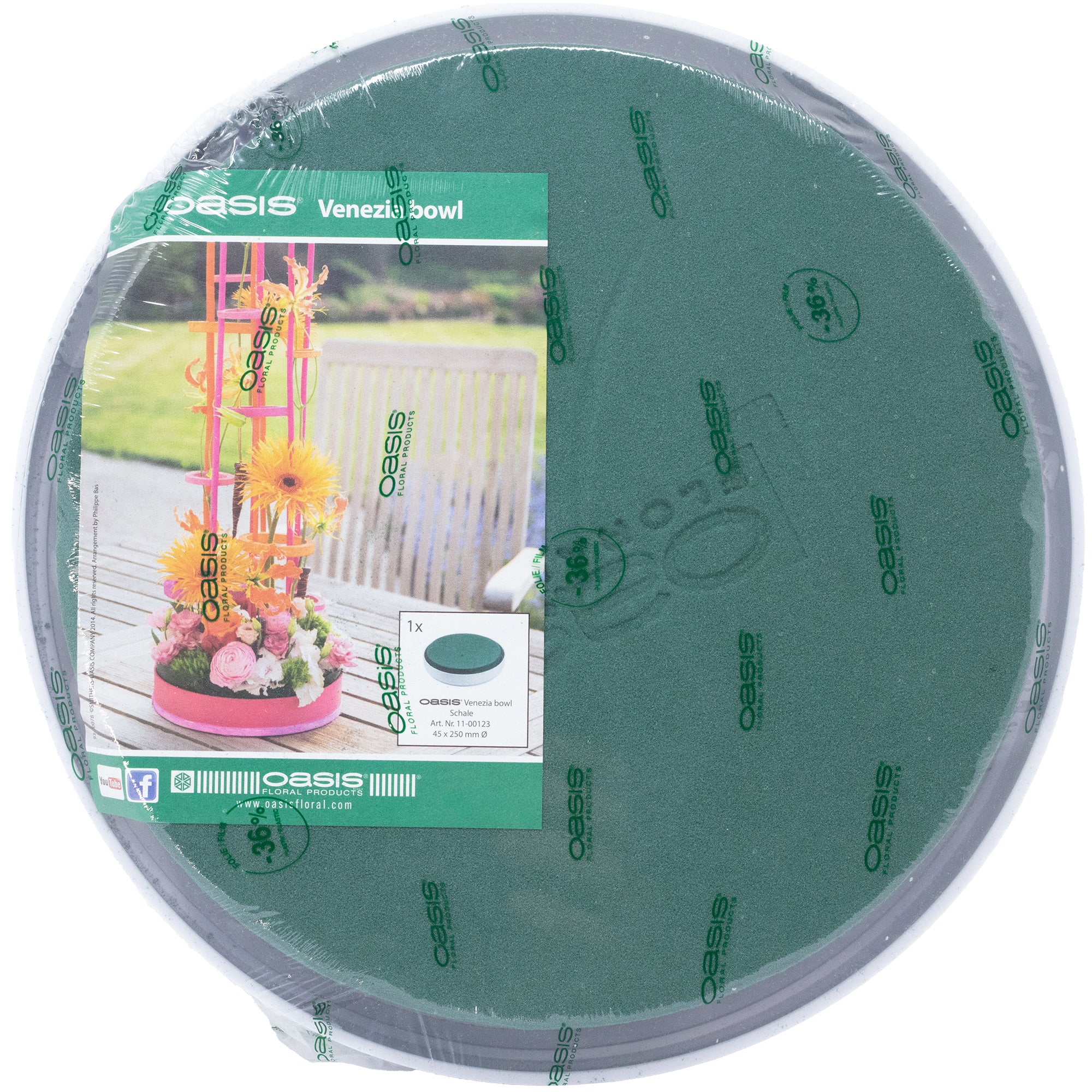 OASIS® Venezia Schale - 6 x 25 cm Ø - Weiß - 1 Stück