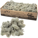 Cardboard Island Moss Grey - 500g