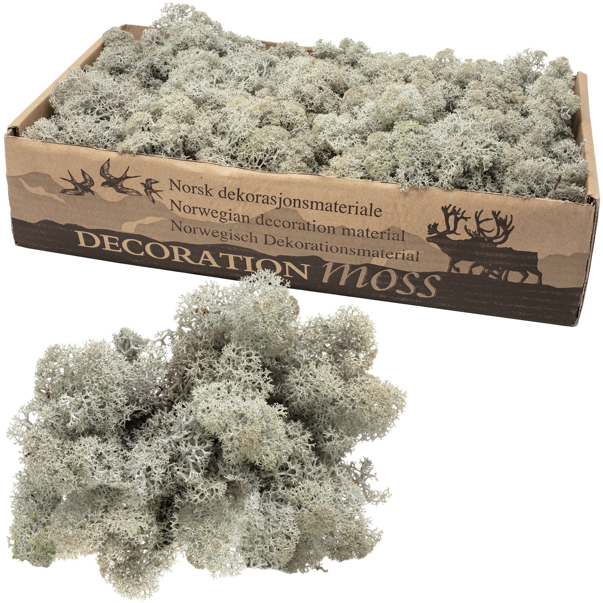 Cardboard Island Moss Grey - 500g